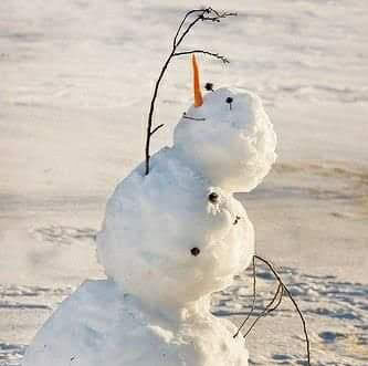 Seasonal Becoming: An Embodied Human Rights Praxis